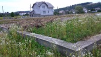 Продається зем. ділянка в селі Крилос 0.25 га. На ділянці є новозведений фундамент, сад. Можливість підключення до електроенергії.