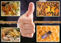 Продам Мед, пергу та інші продукти бджільництва
