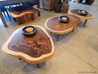 Продам торцевые (поперечные) спилы тополя больших диаметров для столов