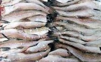 Рыба и морепродукты оптом и в розницу в Мариуполе