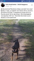Пропала черная маленькая собака
