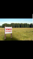 Продажа земельного участка в с. Черненково