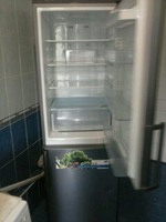 Холодильник samsung rl46rscmg