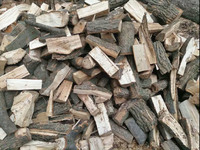 Закупаем дрова твердых пород на постоянной основе - Предприятие