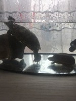 Дві черепахи