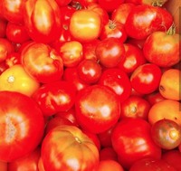 Домашние помидоры