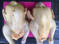 М'ясо домашної птиці (гуска, курка та качка)