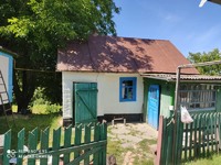 Продам будинок в селі Водяники
