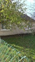 Продам будинок у селі Осмиловичі
