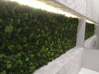 3d панелі з моху. Вертикальне озеленення