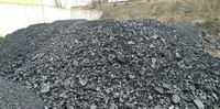 Продам уголь ДГ (13-100), ДГР (0-200), ДГ (0-13), шлам угольный, аргиллит