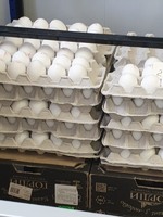 Яйцо куриное с доставкой от производителя