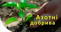 Азотное удобрение “Карбамид” N-46,2% (Мочевина) ДнепрАзот Доставка Херсонская Запорожская
