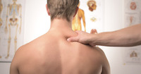 Професійний масаж, мануальна терапія, остеопатія.