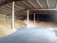 Зерновий склад купує зерно та надає послуги сушіння, очистки, транспортування зерна і збору врожаю