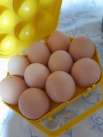 Продам яйця курячі НЕДОРОГО