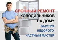 Ремонт холодильников на дому.