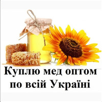 Куплю мед, закупка меду оптом, вся Україна!