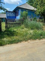Добротный дом в одесской области село Гавиносы.