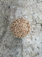 Пшеница на корм животным
