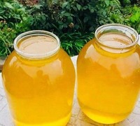 Продам свежий мёд со своей пасеки, урожай 2023 года. Разнотравье