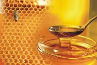 Куплю мед
