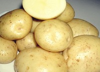 Картопля їстівна домашня