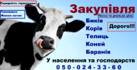 Куплю Быков, Коров, Телок, Коней