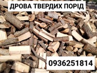 Продаємо дрова твердих порід