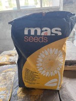 Насіння соняшнику BLADE , Блейд, Майсадур, Mas Seeds 2022